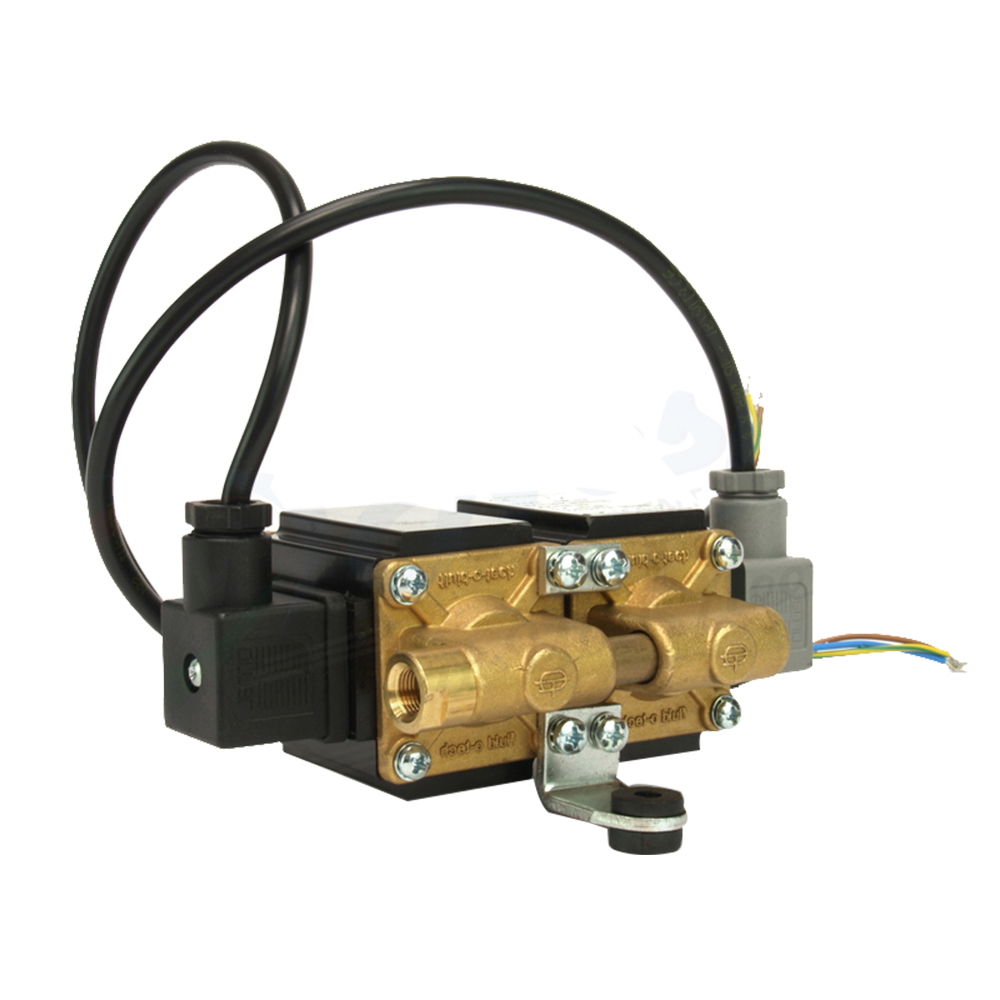 DUPLEX SOLENOID PUMP